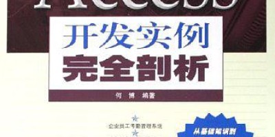 Access开发实例完全剖析pdf下载 Access开发实例完全剖析pdf下载