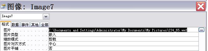 如何在 Access 窗体中显示指定路径的图片