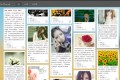 瀑布流WordPress图片主题:PhotoBroad