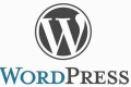 WordPress 批量删除所有文章的特色图片