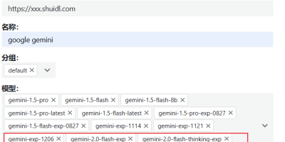 开源new API配置open webui 使用google gemini-2.0-flash-exp等最新ai模型 开源new API配置open webui 使用google gemini-2.0-flash-exp等最新ai模型