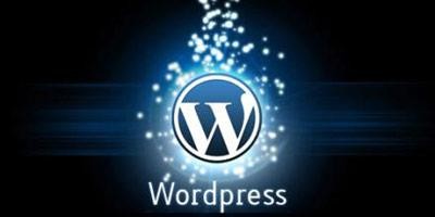 WordPress 文章目录免插件代码方法 WordPress 文章目录免插件代码方法
